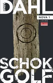 Omslag van Schokgolf
