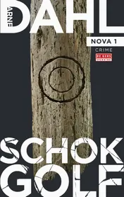 Omslag van Schokgolf