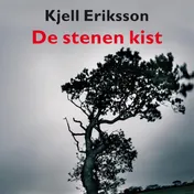Omslag van De stenen kist