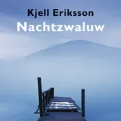 Omslag van Nachtzwaluw
