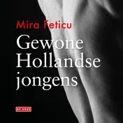 Omslag van Gewone Hollandse jongens