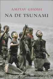 Omslag van Na de tsunami