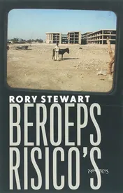Omslag van Beroepsrisico's
