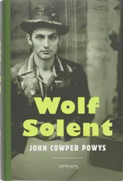 Omslag van Wolf Solent