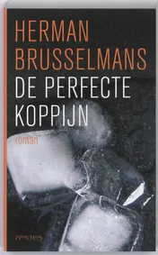 Omslag van De perfecte koppijn