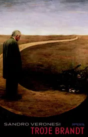 Omslag van Troje brandt