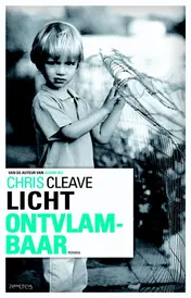 Omslag van Licht ontvlambaar
