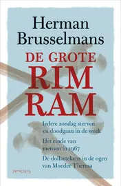 Omslag van Grote rimram