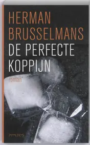 Omslag van Perfecte koppijn