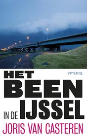 Omslag van Het been in de IJssel