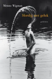 Omslag van Slordig met geluk