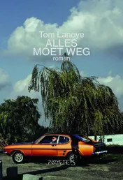 Omslag van Alles moet weg