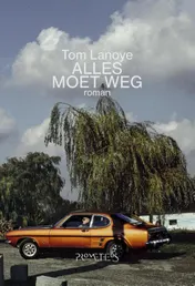 Omslag van Alles moet weg