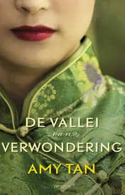 Omslag van De vallei van verwondering