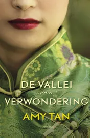 Omslag van De vallei van verwondering