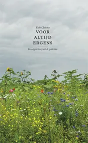 Omslag van Voor altijd ergens