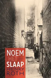 Omslag van Noem het slaap