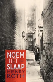 Omslag van Noem het slaap