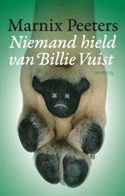 Omslag van Niemand hield van Billie Vuist