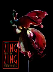 Omslag van Zing Zing