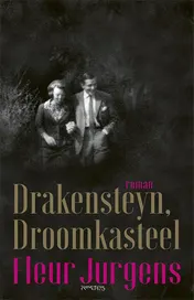 Omslag van Drakensteyn, droomkasteel