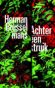 Omslag van Achter een struik