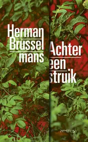 Omslag van Achter een struik
