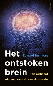 Omslag van Het ontstoken brein