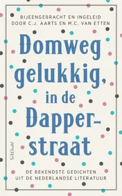 Omslag van Domweg gelukkig, in de Dapperstraat