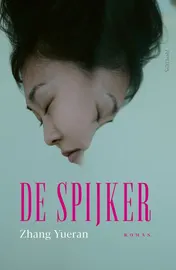 Omslag van De spijker