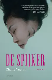 Omslag van De spijker