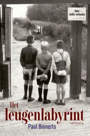 Omslag van Het leugenlabyrint