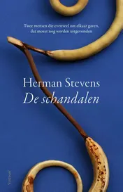 Omslag van De schandalen