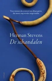 Omslag van De schandalen