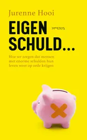 Omslag van Eigen schuld