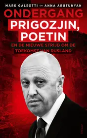 Omslag van Ondergang