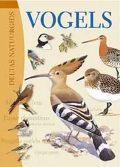 Omslag van Vogels