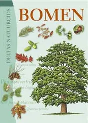 Omslag van Bomen