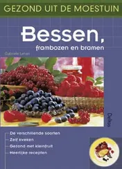 Omslag van Bessen, frambozen en bramen