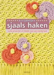 Omslag van Kleurrijke sjaals haken