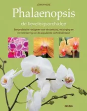 Omslag van Phalaenopsis