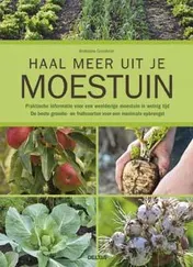 Omslag van Haal meer uit je moestuin
