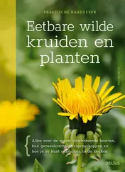 Omslag van Eetbare wilde kruiden en planten