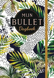 Omslag van Mijn bullet dagboek