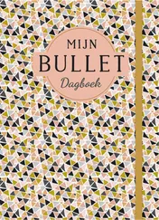 Omslag van Mijn bullet dagboek