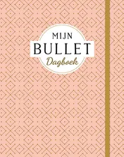 Omslag van Mijn bullet dagboek