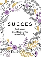 Omslag van Succes