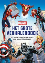 Omslag van Marvel het grote verhalenboek