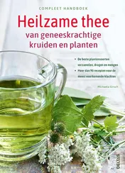 Omslag van Compleet handboek Heilzame thee van geneeskrachtige kruiden en planten