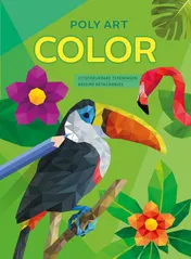 Omslag van Poly Art Color